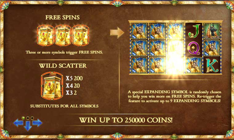 Legacy of Dead slot game free spins and scatter symbol